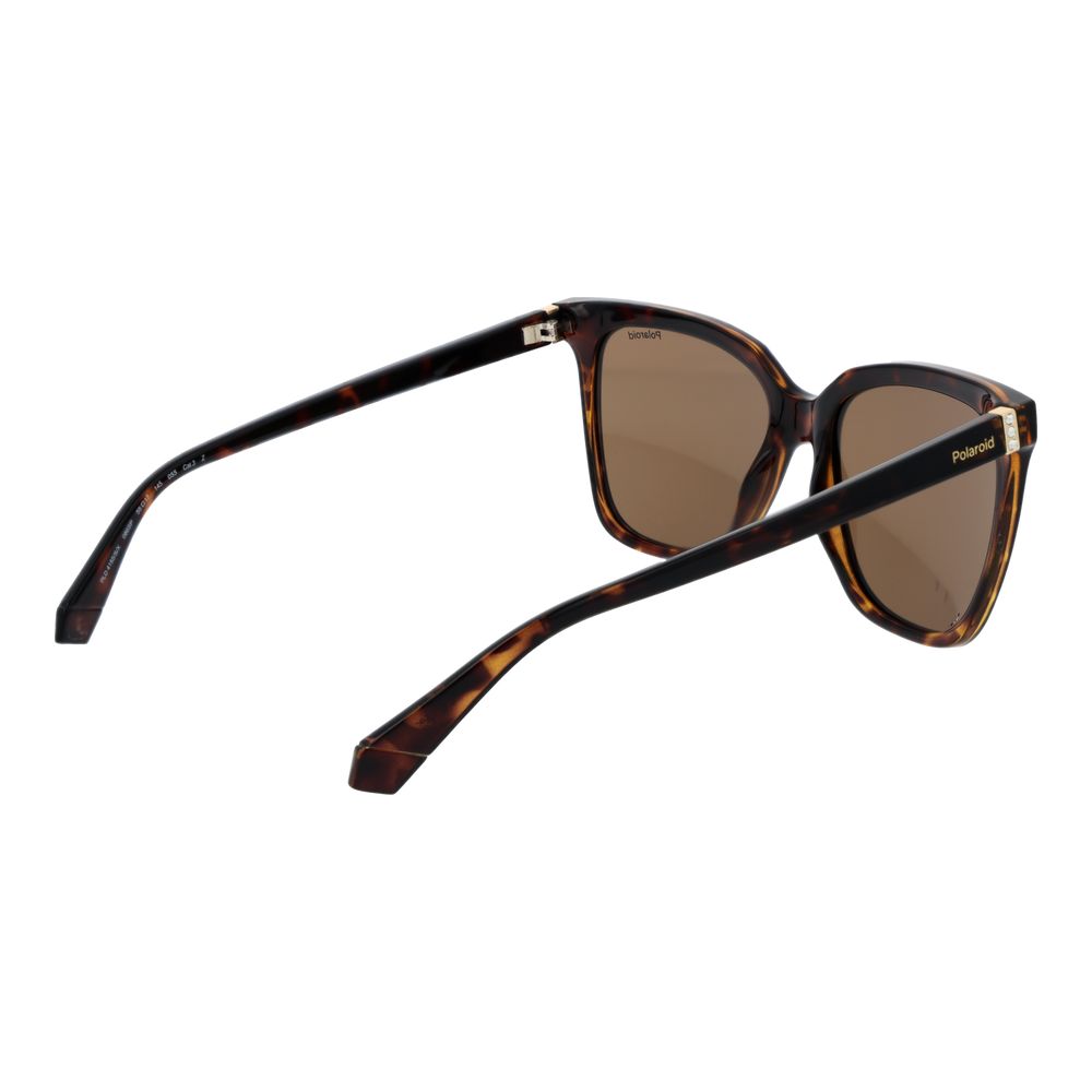 Polaroid Brown Polycarbonate Sunglasses - Image 3