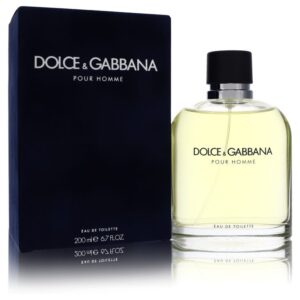 Dolce & Gabbana by Dolce & Gabbana - Eau De Toilette Spray 6.7 oz