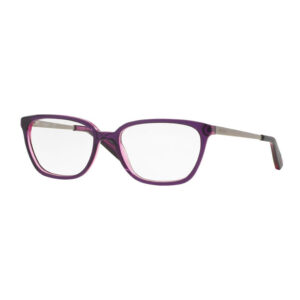 DKNY DY4667 Women's Eyeglasses – Violet/Violet Transparent/Silver, 52mm