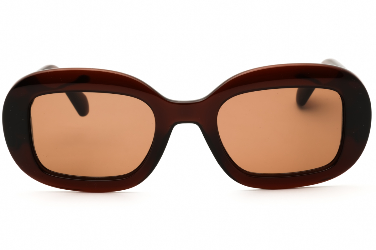 Salvatore Ferragamo SF2038SE Women's Sunglasses – Transparent Brown / Brown, 51mm - Image 2
