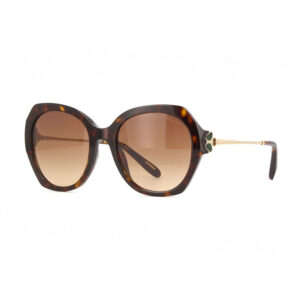 Chopard SCH354V Women's Sunglasses β Shiny Brown Havana/Gold / Brown Gradient, 54mm