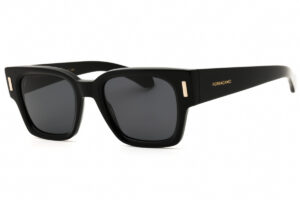 Salvatore Ferragamo SF2010S Men's Sunglasses β Black / Grey, 52mm