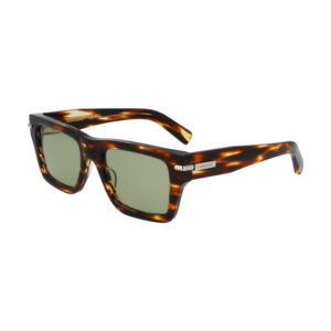 Salvatore Ferragamo SF2033S Women's Sunglasses – Striped Brown / Green, 53mm